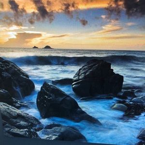 Meet your Posher, Dolores